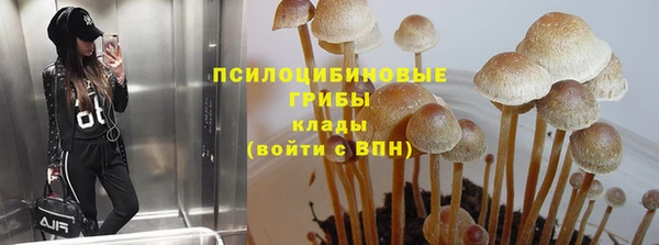 а пвп мука Сосновка