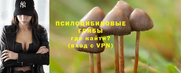 MESCALINE Сосновый Бор
