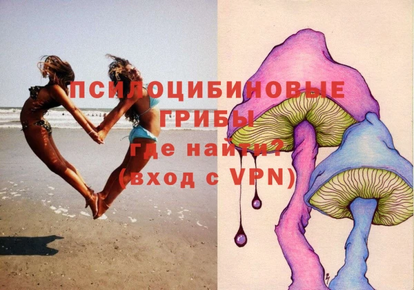 прущая мука Арсеньев
