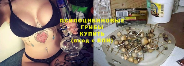 MESCALINE Сосновый Бор